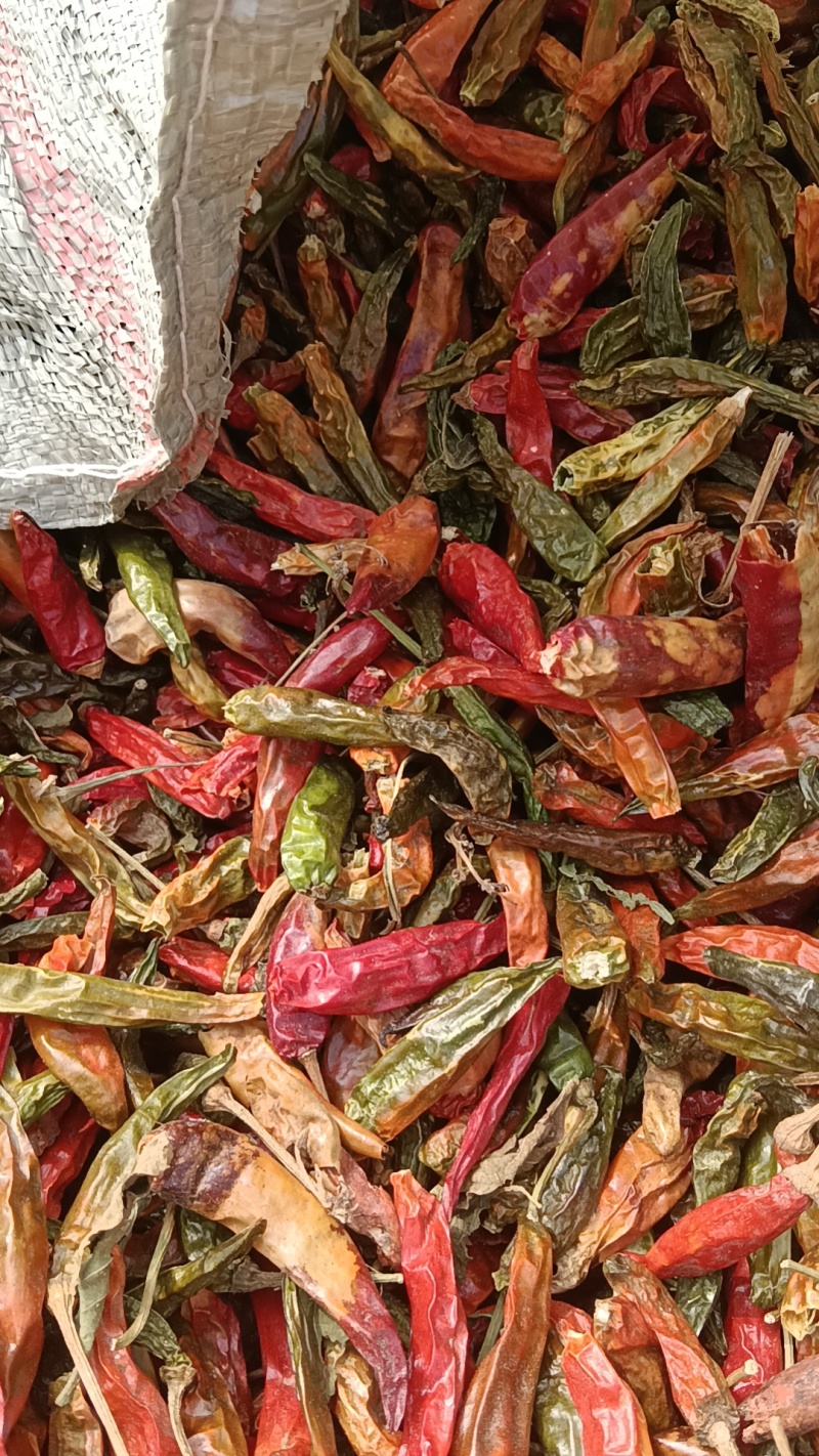 花皮辣椒