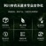厚扑苗一公分厚扑小苗厚扑大苗