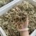 猫爪草芽猫爪草苗量大优惠基地直发