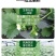 含氨基酸水溶肥防治小黄黄叶落花落果肥料厂家直销