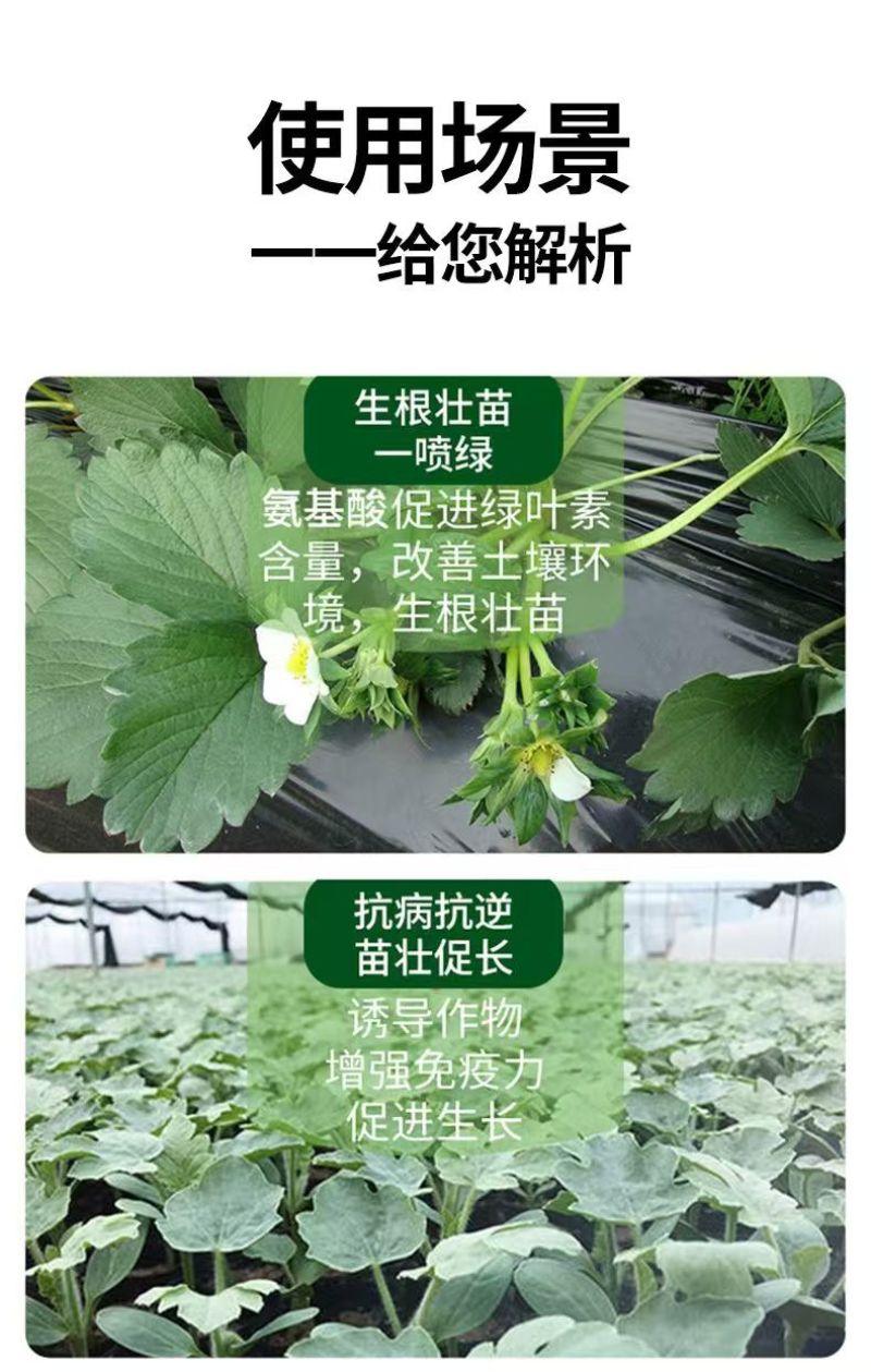 含氨基酸水溶肥防治小黄黄叶落花落果肥料厂家直销