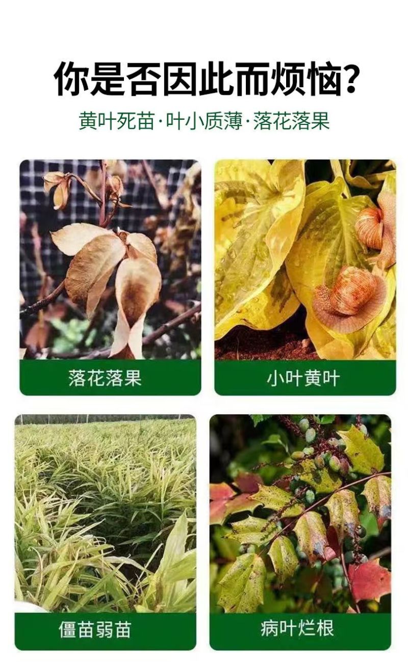 含氨基酸水溶肥防治小黄黄叶落花落果肥料厂家直销