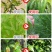 含氨基酸水溶肥防治小黄黄叶落花落果肥料厂家直销