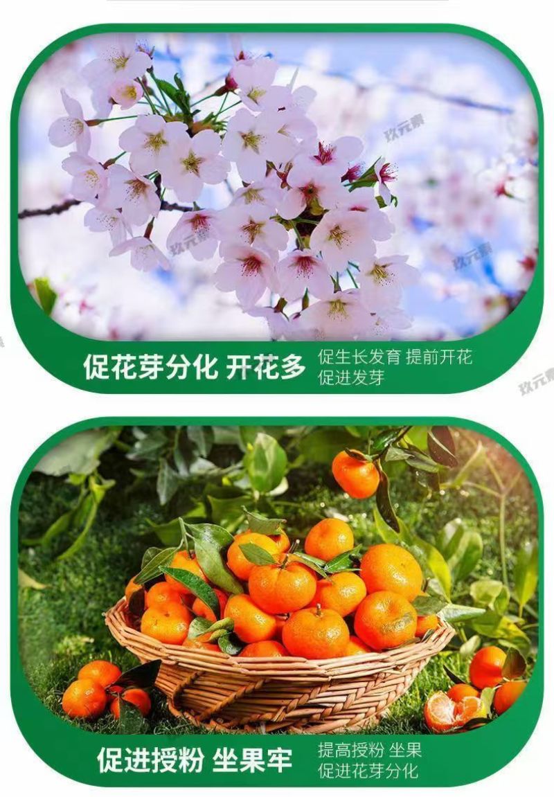 含氨基酸水溶肥防治小黄黄叶落花落果肥料厂家直销