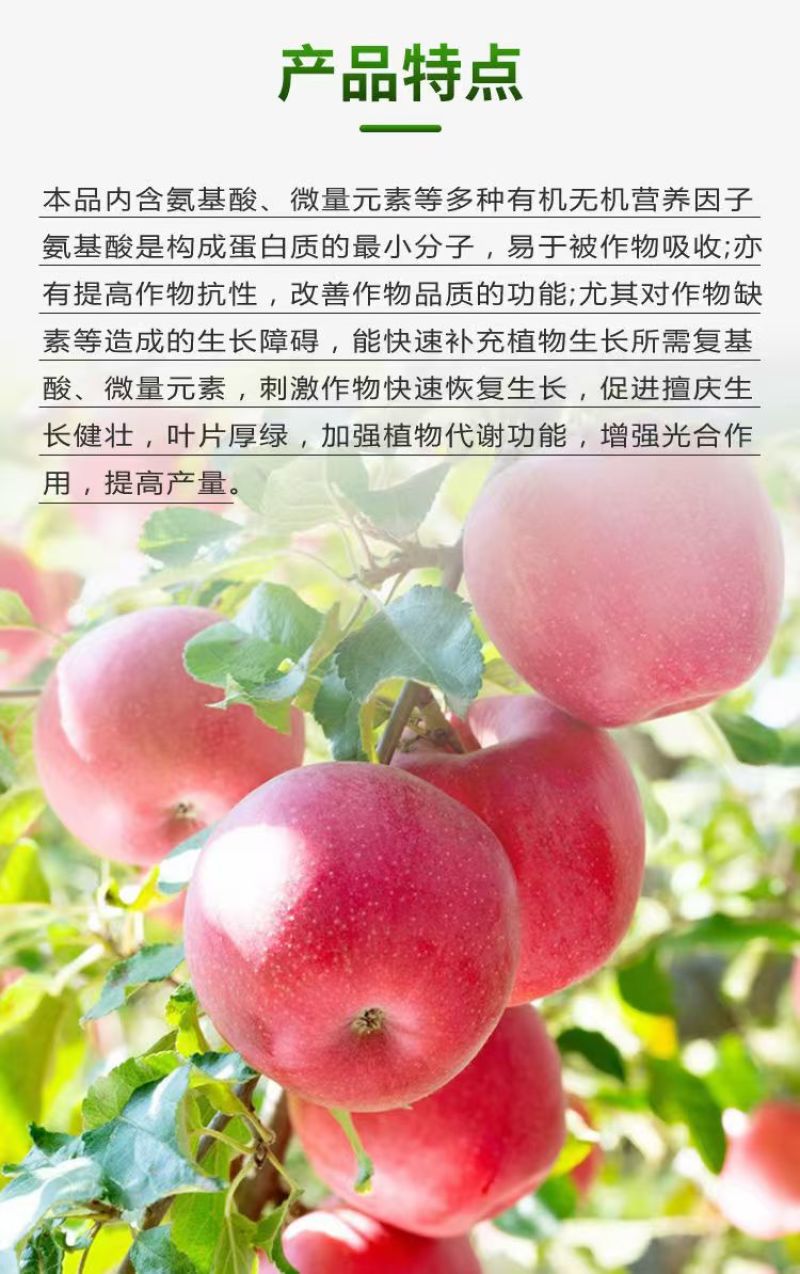 含氨基酸水溶肥防治小黄黄叶落花落果肥料厂家直销