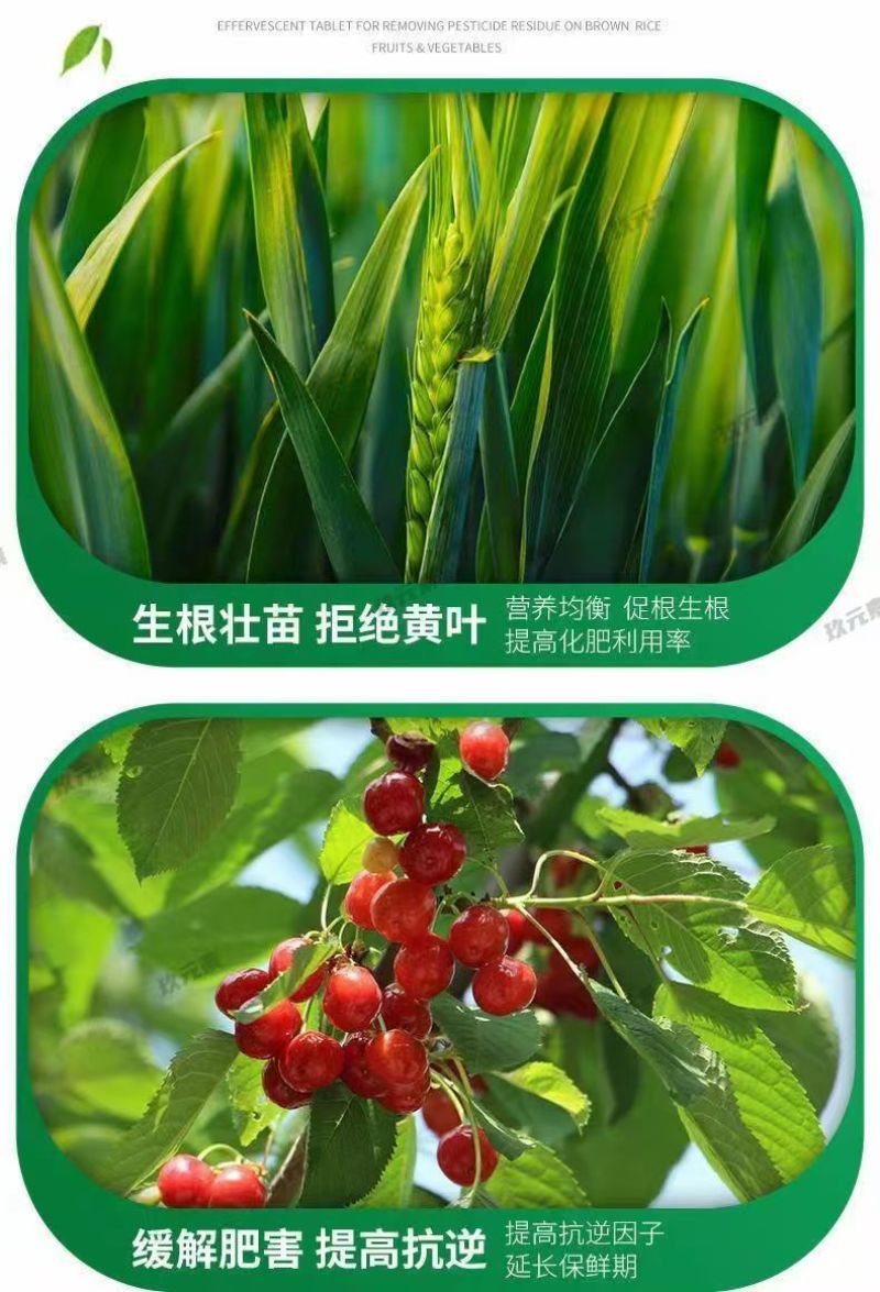 含氨基酸水溶肥防治小黄黄叶落花落果肥料厂家直销