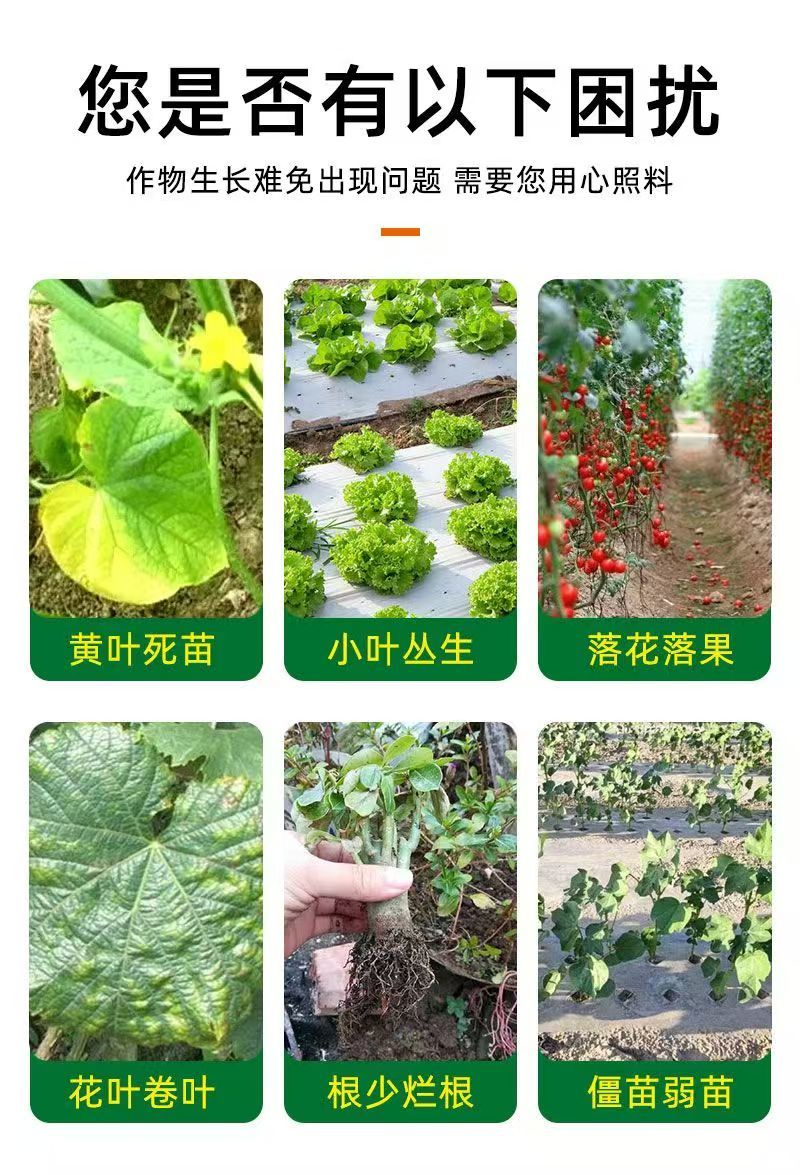 含氨基酸水溶肥防治小黄黄叶落花落果肥料厂家直销