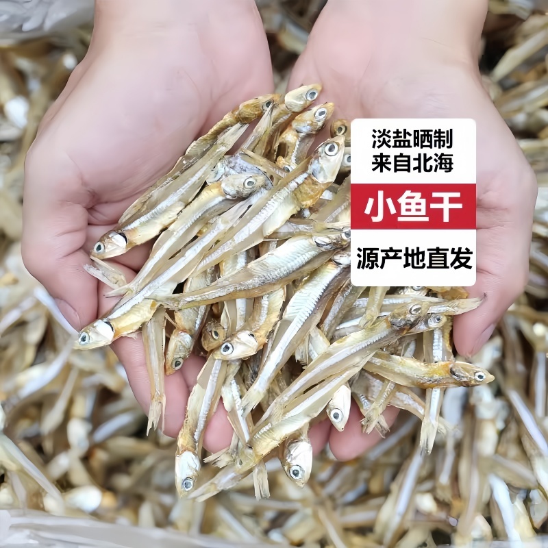 淡盐小鱼干白帆鱼海燕鱼地摊展销会热卖产品