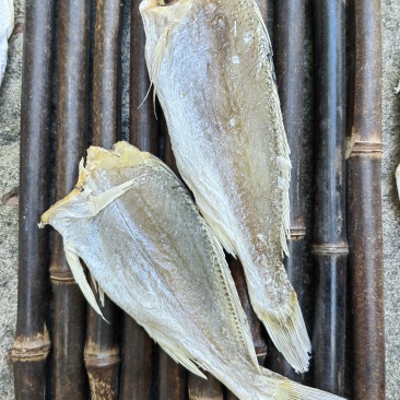 黄花鱼小黄鱼滑仔鱼咸鱼干