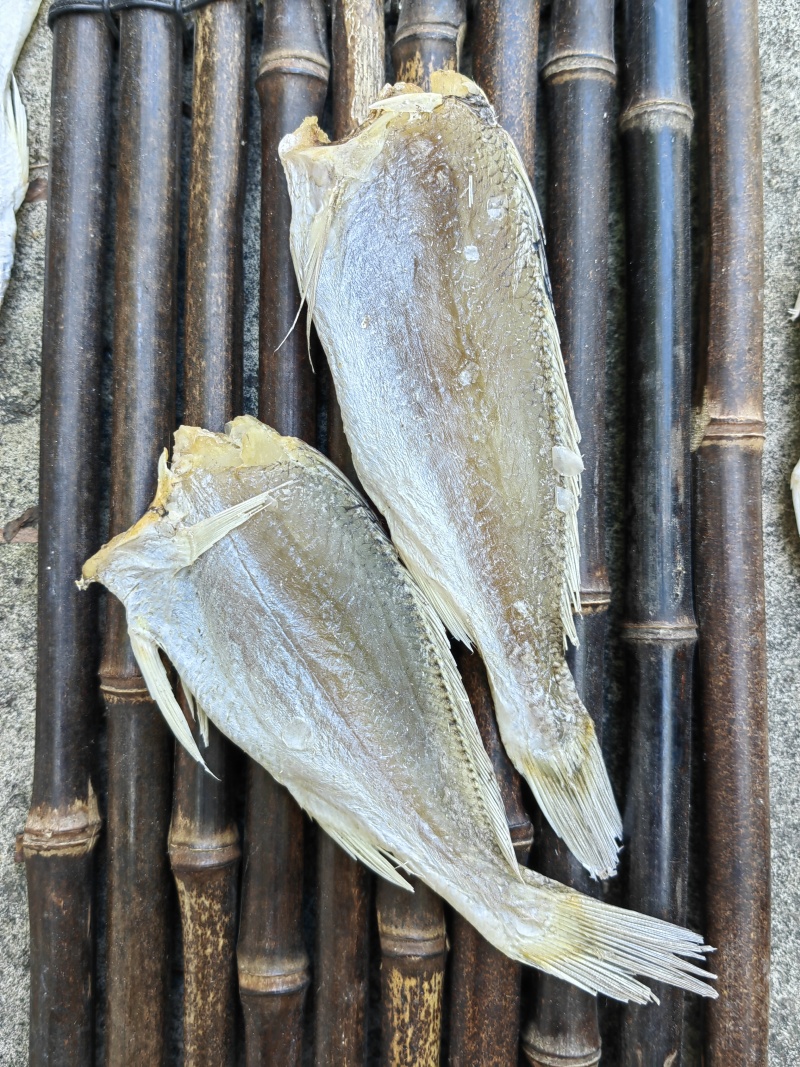 黄花鱼小黄鱼滑仔鱼咸鱼干