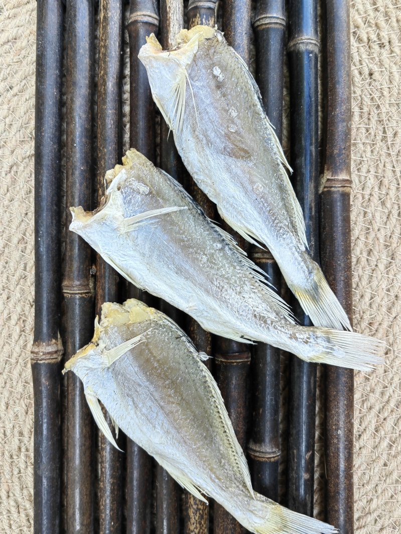 黄花鱼小黄鱼滑仔鱼咸鱼干