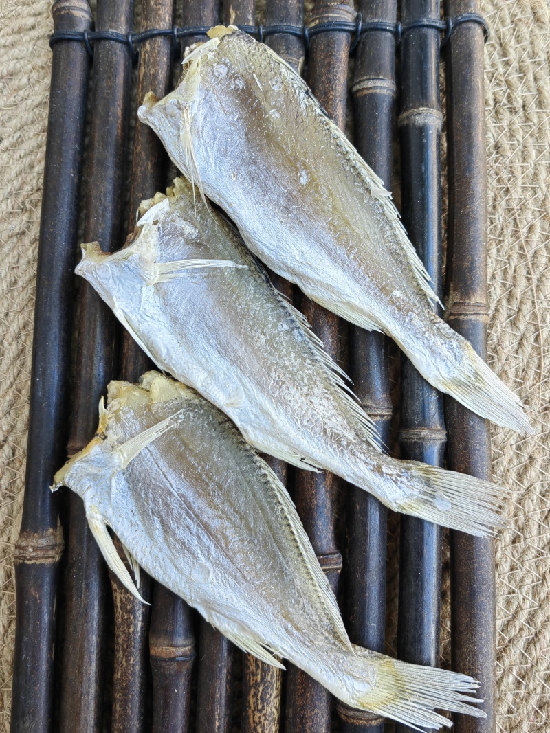 黄花鱼小黄鱼滑仔鱼咸鱼干