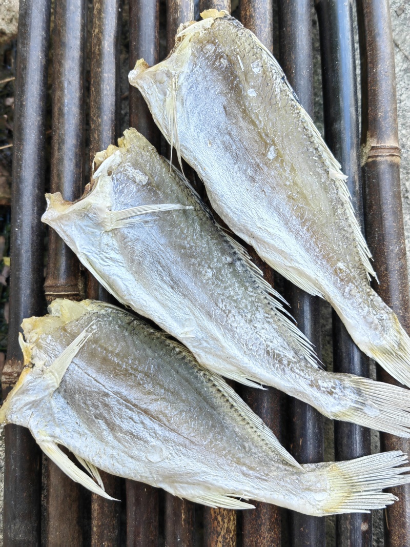黄花鱼小黄鱼滑仔鱼咸鱼干
