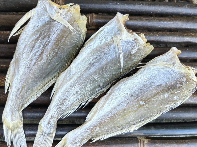 黄花鱼小黄鱼滑仔鱼咸鱼干