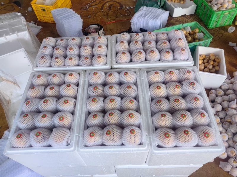 云南石林高原精品人参果
