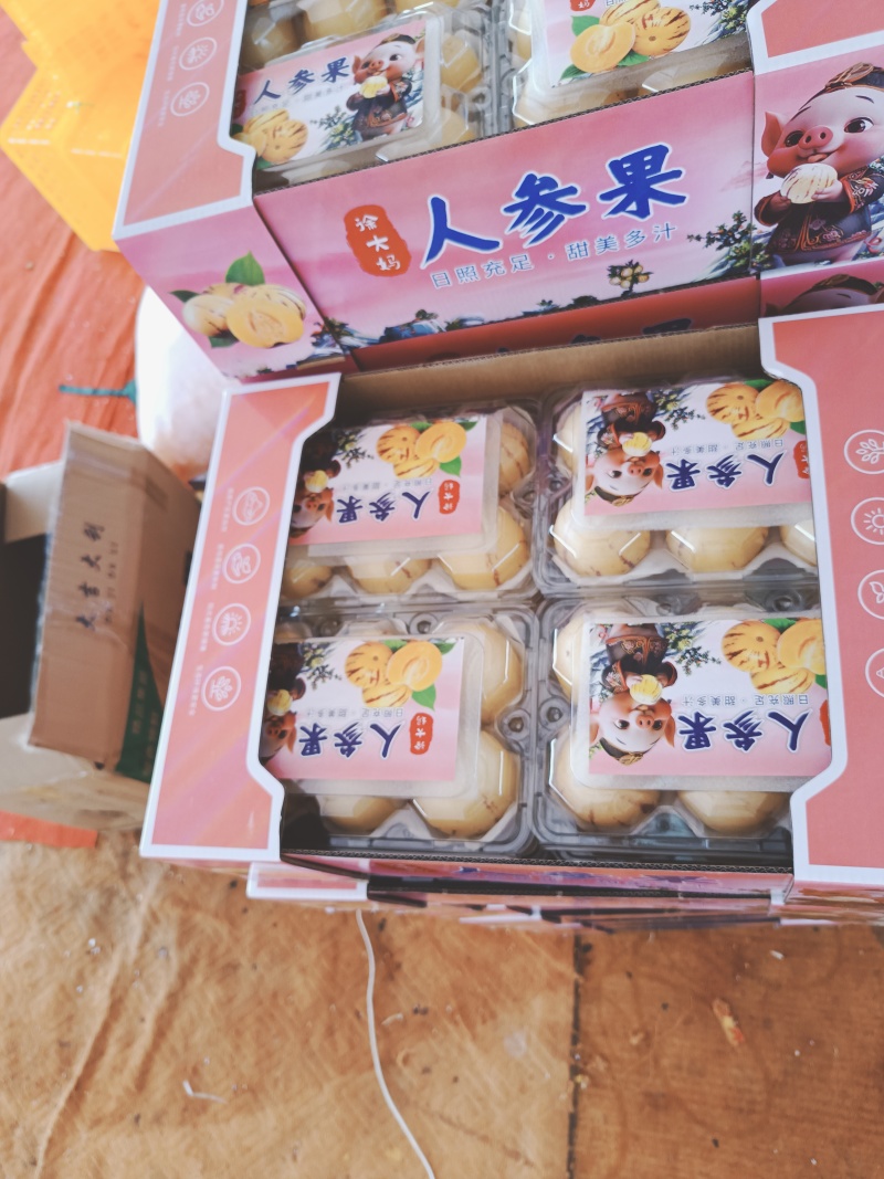 云南石林高原精品人参果