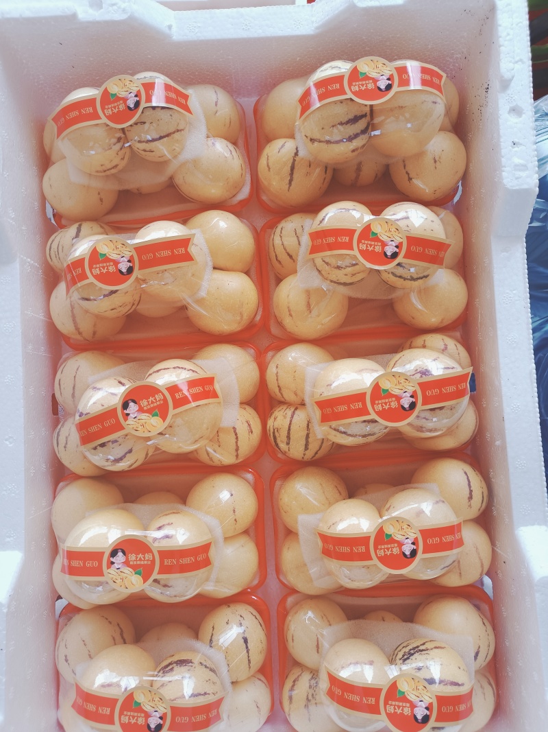 云南石林高原精品人参果