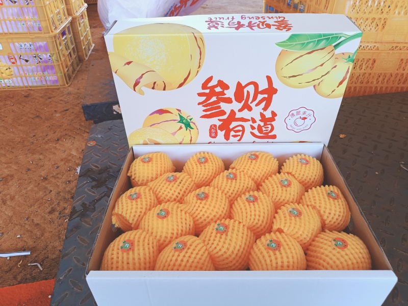 云南石林高原精品人参果