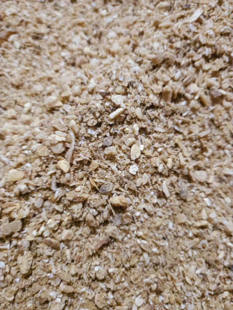 骨粉