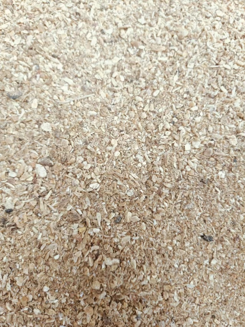 骨粉