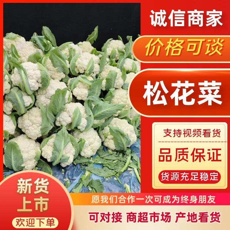 菜花实花散花产地直供一手货源代发全国