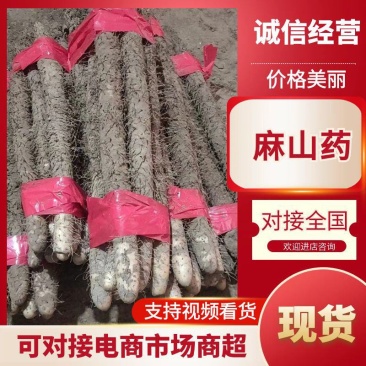 麻山药一手货源全国代发网袋货散装货打捆货都有