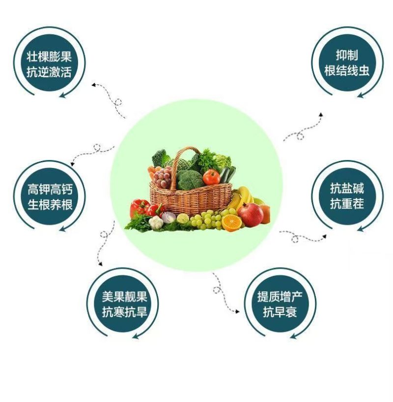 大量元素水溶肥氮磷钾肥营养全面均衡免费技术指导
