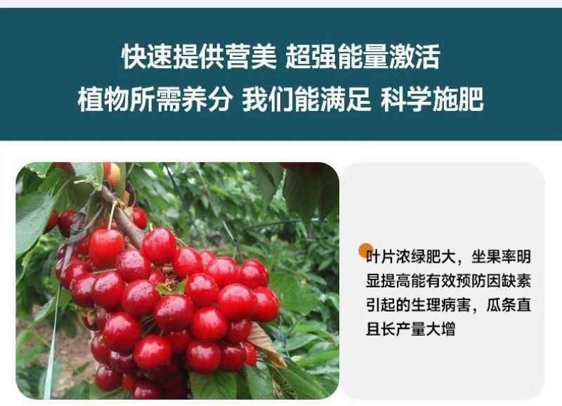 大量元素水溶肥氮磷钾肥营养全面均衡免费技术指导