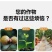 大量元素水溶肥氮磷钾肥营养全面均衡免费技术指导