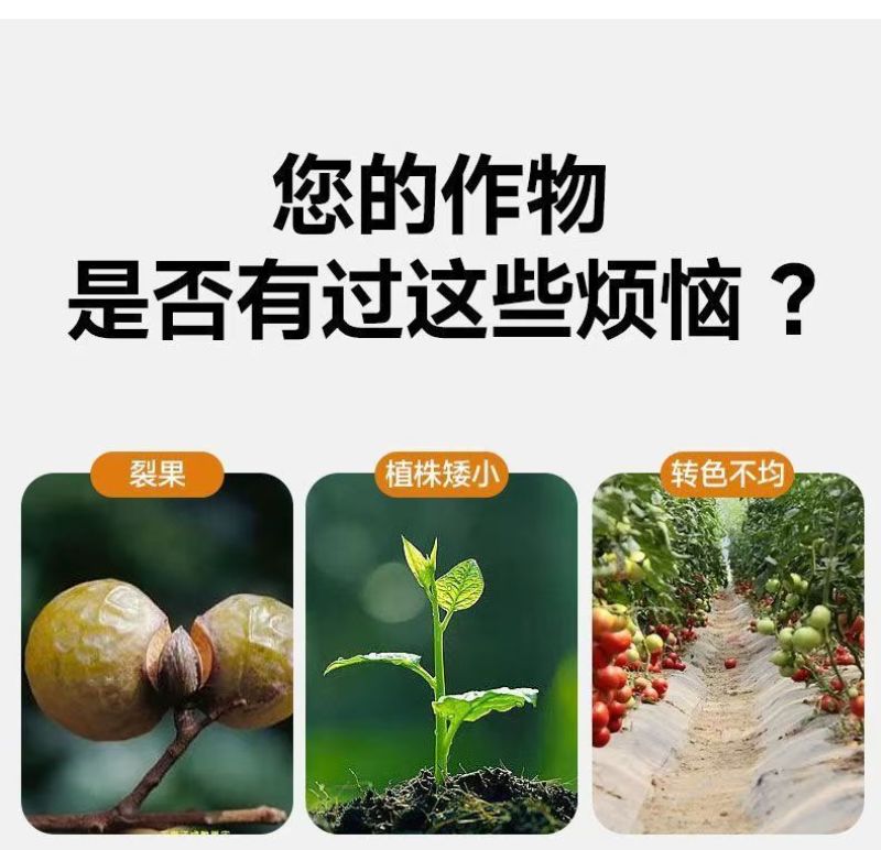 大量元素水溶肥氮磷钾肥营养全面均衡免费技术指导