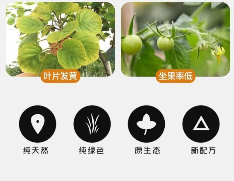 大量元素水溶肥氮磷钾肥营养全面均衡免费技术指导