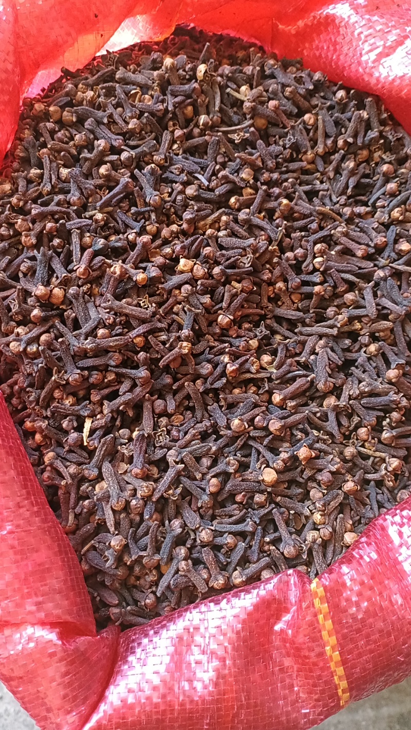 丁香/公丁香/精选好货/批发兼零售，量大可商议，全国包邮