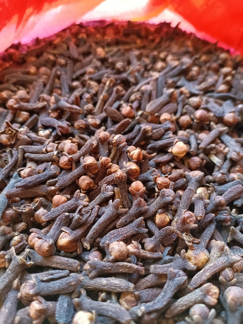 丁香/公丁香/精选好货/批发兼零售，量大可商议，全国包邮