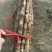 焦作正宗红皮卢土地铁棍山药产地产新优质红皮铁棍山药