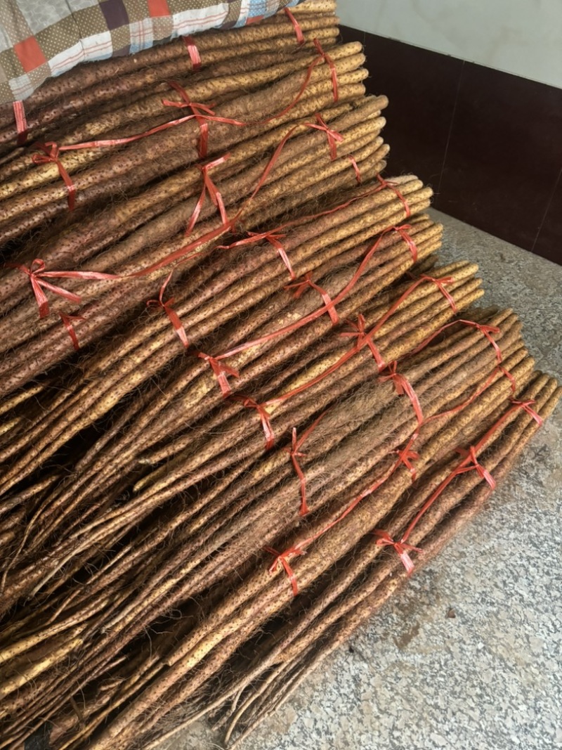 焦作正宗红皮卢土地铁棍山药产地产新优质红皮铁棍山药