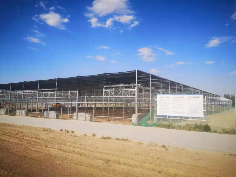 春秋种植棚蔬菜种植冷棚热镀锌钢骨架结实耐用全国施工
