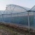春秋种植棚蔬菜种植冷棚热镀锌钢骨架结实耐用全国施工