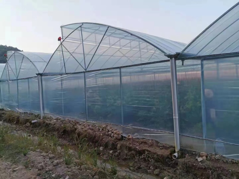 春秋种植棚蔬菜种植冷棚热镀锌钢骨架结实耐用全国施工