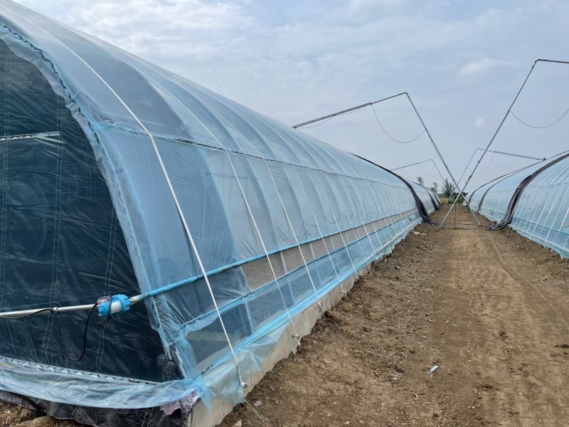 春秋种植棚蔬菜种植冷棚热镀锌钢骨架结实耐用全国施工