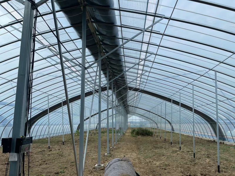 春秋种植棚蔬菜种植冷棚热镀锌钢骨架结实耐用全国施工
