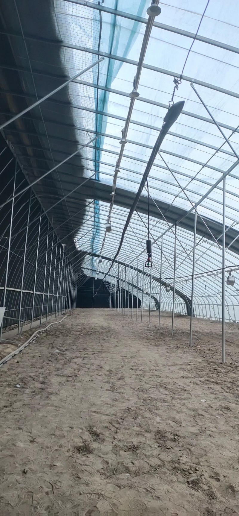 春秋种植棚蔬菜种植冷棚热镀锌钢骨架结实耐用全国施工