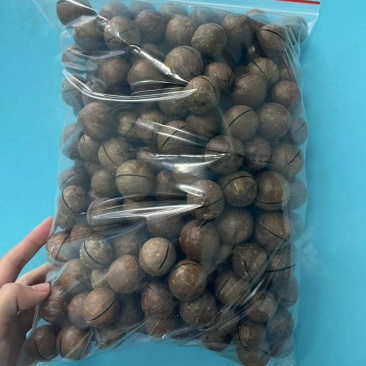 有实力的老板来聊