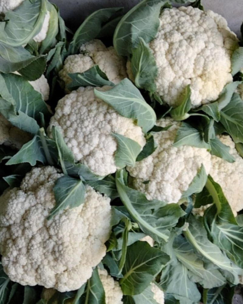 花菜大量上市产地直发价格优惠支持视频看货对接商超