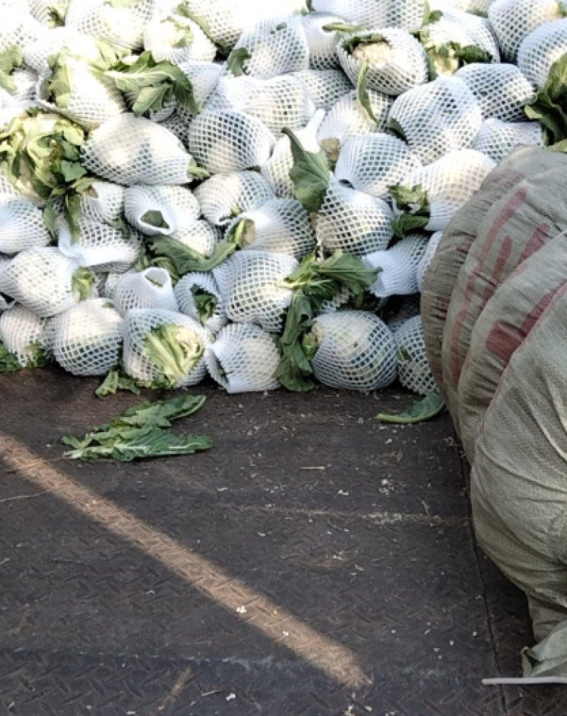 花菜大量上市产地直发价格优惠支持视频看货对接商超