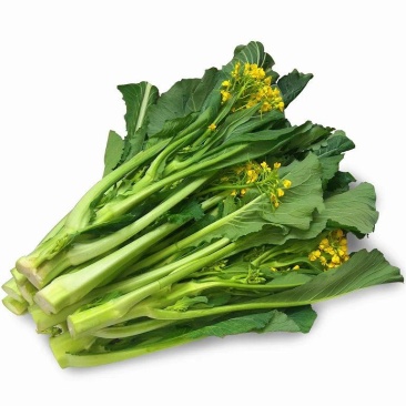 增城菜心广东菜心基地直发价格便宜