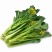 增城菜心广东菜心基地直发价格便宜
