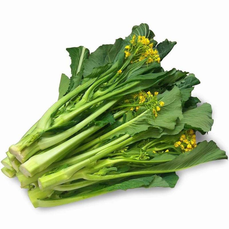 增城菜心广东菜心基地直发价格便宜