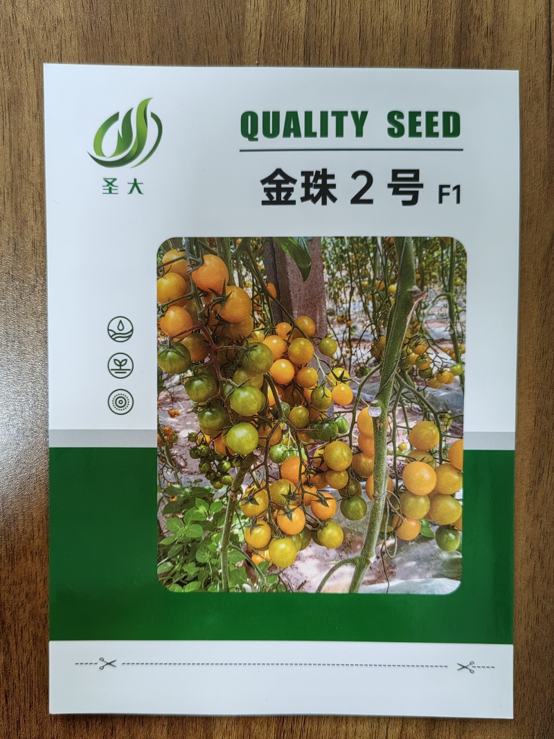 小黄樱桃番茄种子小圆黄樱桃番茄种子小柿子黄西红柿种子