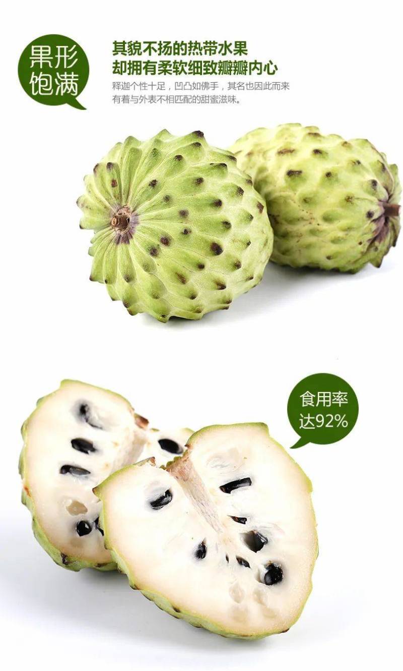 澳洲品种AP.释迦