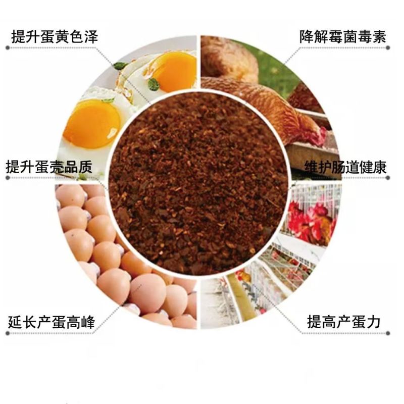 鸡鸭鹅禽类专用辣椒发酵正品厂家直销提高产蛋和蛋品驱虫纯天